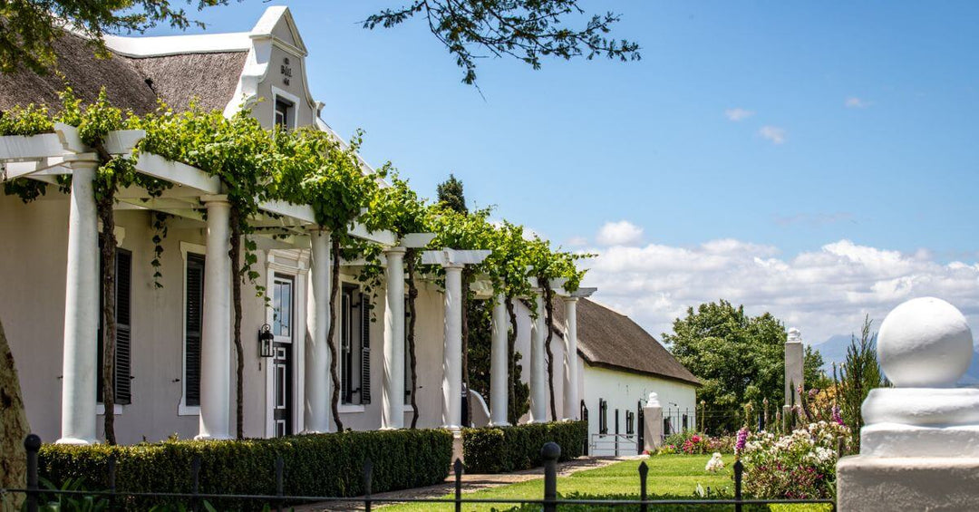 Your guide to exploring the Durbanville Wine Route Feature Image 