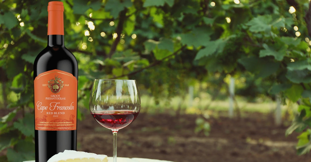Red blend wine Feature Image