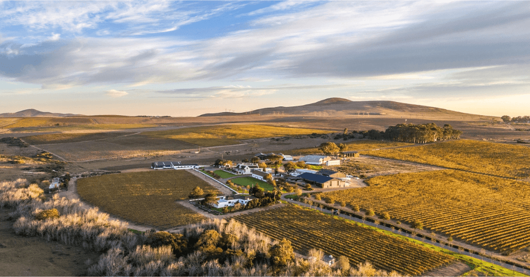 A Guide to the Best Wine Regions- Feature Image 