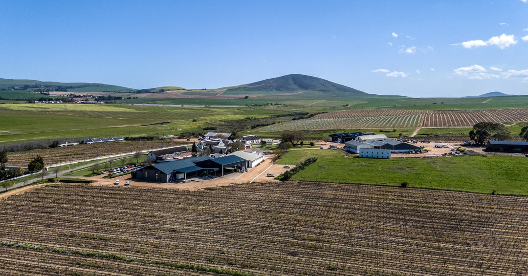 Durbanville wine valley Feature Image - A faraway view of Groot Phesantekraal