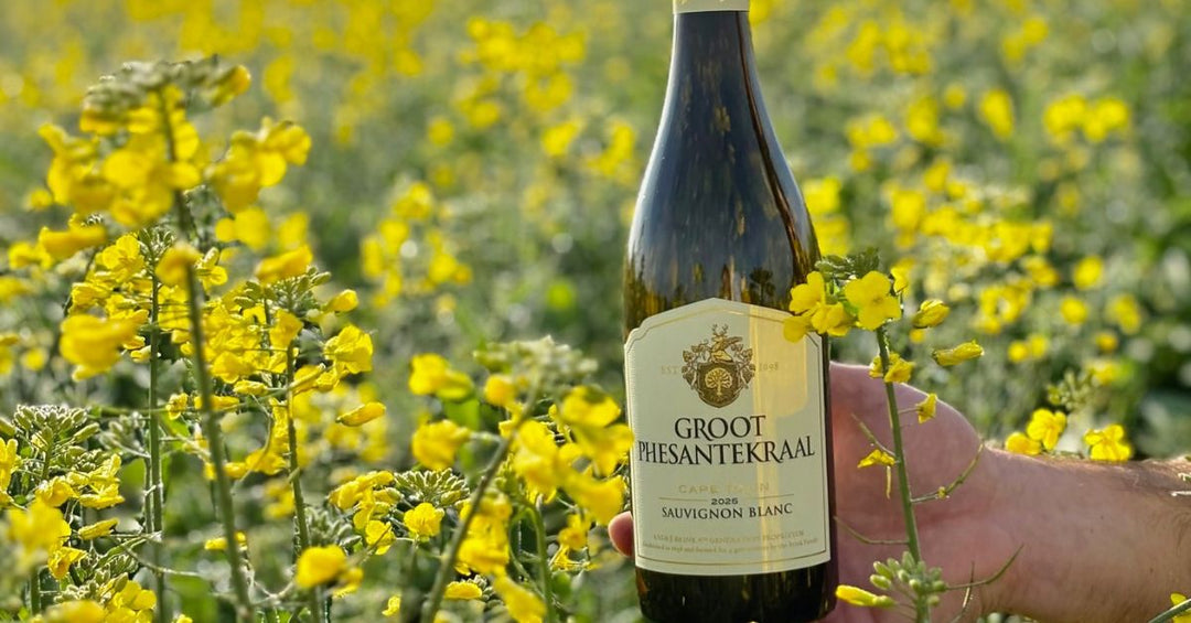 Is Sauvignon Blanc sweet Feature Image