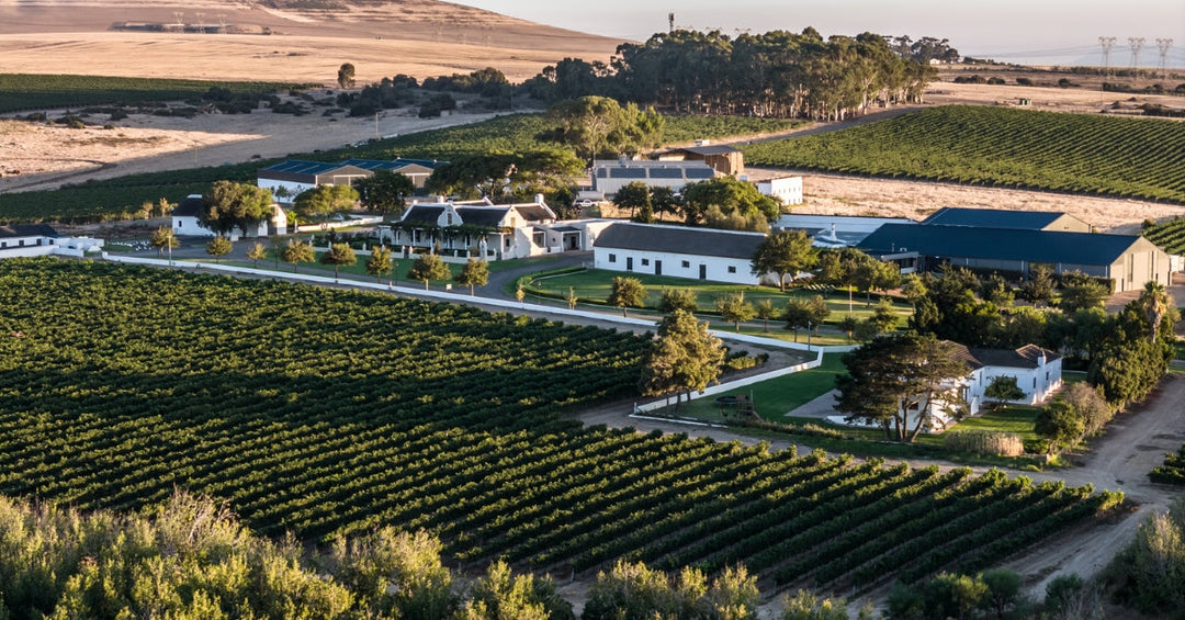 Durbanville Wine Route feature image