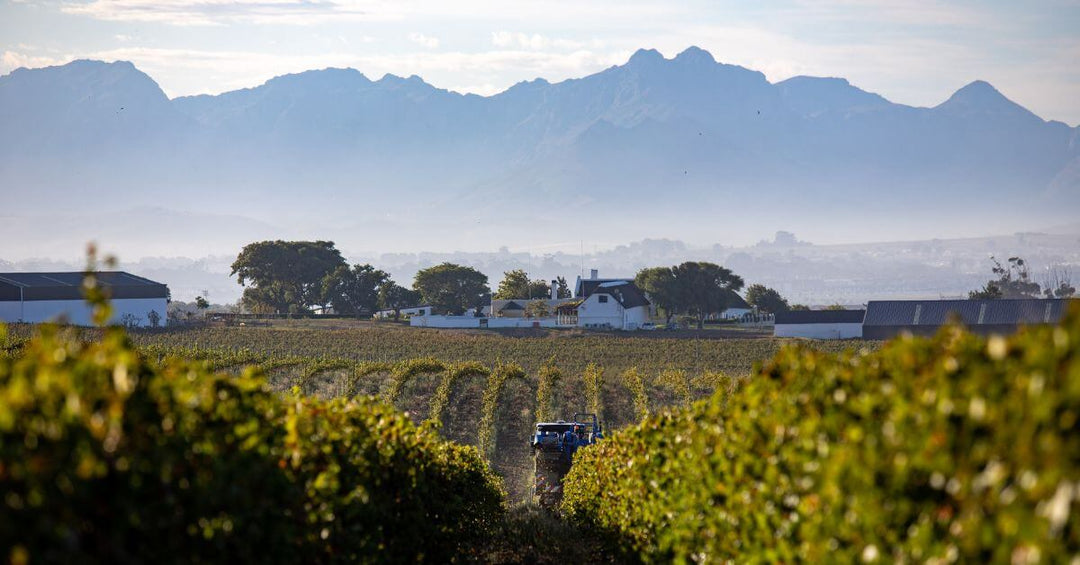 Wine Estates in Durbanville Feature Image- A view of the Durbanville mountain