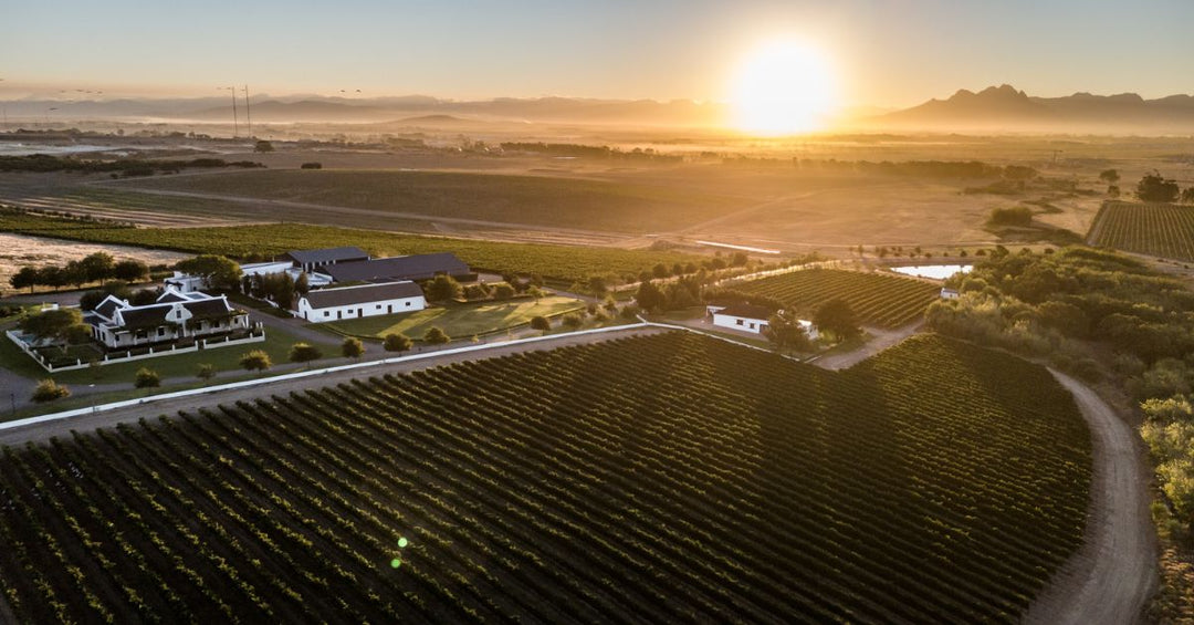 Aerial View of Groot Phesantekraal Winery and restaurant surrounded by green vineyards and a bright setting sun 